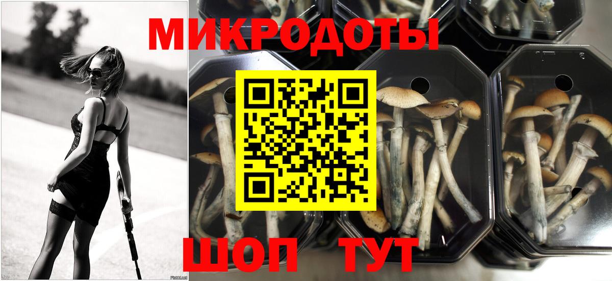 продажа наркотиков  Галлюциногенные грибы Psilocybine cubensis  Нефтеюганск  Вход с VPN  Галлюциногенные грибы мухоморы 
